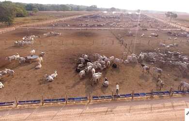 Imagem 4: Fazenda com Dívida no TO. 6.372.24 hectares 360 milhões. 320 com divida
