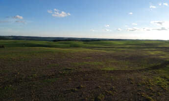 Imagem 4: Fazenda em coronel domingos pr