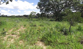 Imagem 3: Chácaras de mil metros com luz, água, Jaboticatubas (Temos varias opções