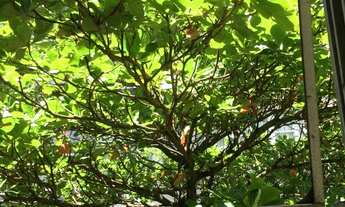 Imagem 5: Vendo apto único no melhor quarteirão de Copacabana, em prédio icônico do bairro!