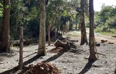 Imagem 3: Vendo Chácara em Bonito 35km da cidade