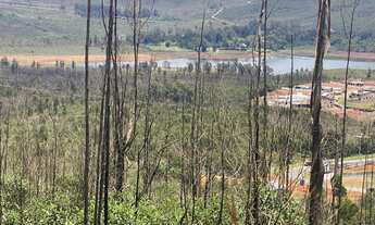 Imagem: Lote a venda possui 849 metros quadrados