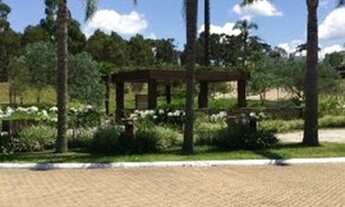 Imagem: CAXIAS DO SUL - Terreno Padrão - SÃO CIRO