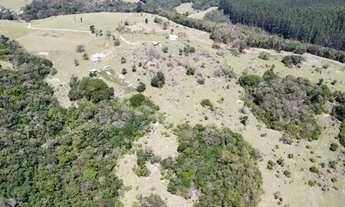 Imagem 6: Sítio 13 Alqueires, 2 casas, galpão, rico em água, divisa rio, com escritura e registro