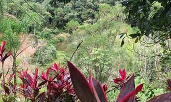 Imagem 4: Juquitiba - Chácara - Miracatu