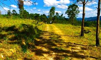 Imagem 3: Imóvel para venda com 1000 metros quadrados em Barreiro - Mairiporã - São Paulo