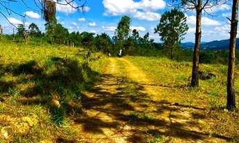 Imagem: Terreno para venda tem 1000 metros quadrados