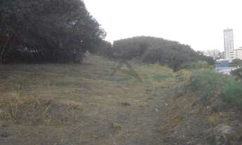 Imagem 7: área - Taquaral - Campinas