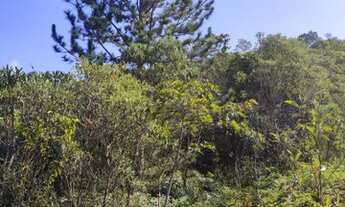 Imagem 5: Área em rio acima