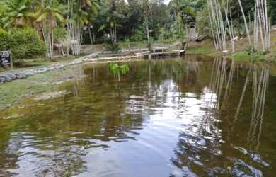 Imagem 5: Fazenda/Sítio/Chácara para venda tem 999 metros quadrados com 4 quartos