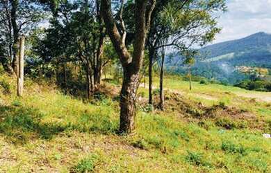 Imagem 2: 03m-Vendo lote em área rural##