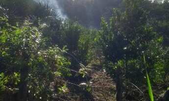 Imagem 3: Sitio Chácara com venda por R$40.000