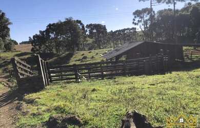 Imagem 6: Sítio / Chácara para Venda em Gramado, Serra Grande