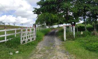 Imagem 4: Fazenda/Sítio/Chácara para venda possui 80 hectares, com 4 quartos em - Flexeiras - Alag
