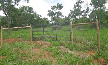 Imagem 3: Vendo Excelentes Fazendinhas Planas Registradas Financiadas Com Água Luz Lagoa na região d