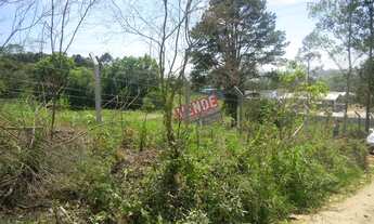 Imagem 6: Terreno à venda, 24337 m² por R$ 7.057.730,00 - Thomaz Coelho - Araucária/PR