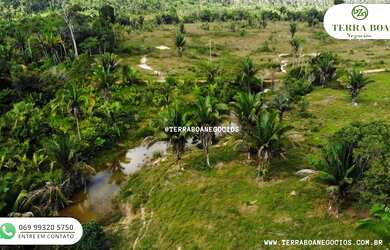 Imagem 4: FAZENDA 52,5 ALQUEIRES TODA FORMADA APÓS NOVA MUTUM/RONDÔNIA