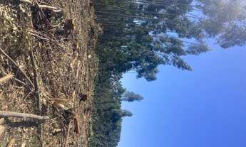 Imagem 4: R5-Imóvel para venda com 1000 metros quadrados em - Salesópolis - São Paulo