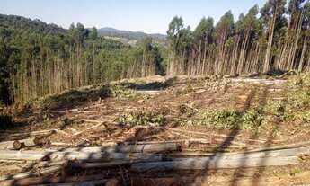 Imagem 2: D7- Encontre as melhores opções conosco, consulte