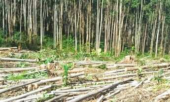 Imagem: D7- Lotes em um lugar tranquilo, venha conhecer