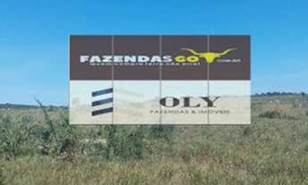 Imagem 3: Fazenda Extra - 206 alqueires - Pontal do Araguaia - MT ! Dupla aptidão !