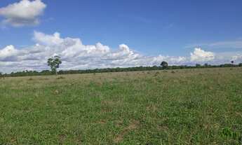 Imagem 6: Fazenda Dupla aptidão Município Araguapaz- GO