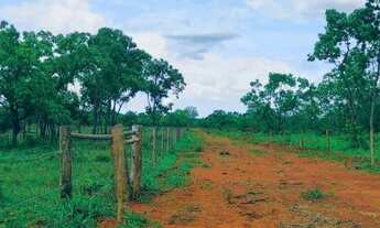 Imagem: Seu terreno rural é aqui, terra boa para