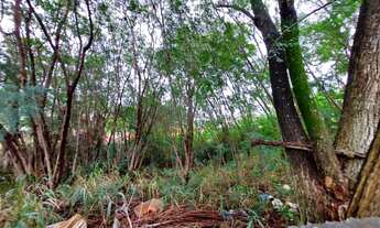 Imagem 7: Terreno - Jardim Paraíso - Campinas
