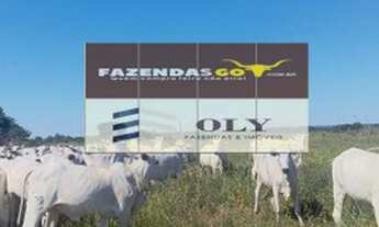 Imagem 7: Fazenda Extra - 206 alqueires - Pontal do Araguaia - MT ! Dupla aptidão !