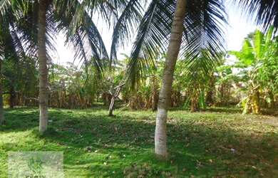 Imagem 2: SI0002 - Sítio à venda, 40000 m² por R$ 450.000,00 - Gereraú - Itaitinga/CE