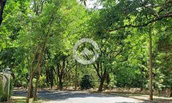 Imagem 3: área - Bairro das Palmeiras - Campinas