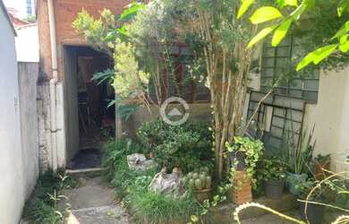 Imagem 5: Casa - Cambuí - Campinas