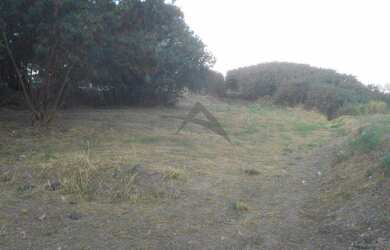 Imagem 6: área - Taquaral - Campinas