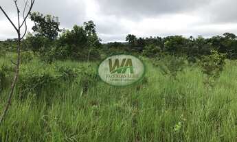 Imagem 3: Fazenda com preço de oportunidade em Recursolândia- TO