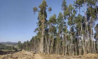 Imagem 5: Agende sua visita sem compromisso