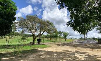 Imagem: Sítio da amizade