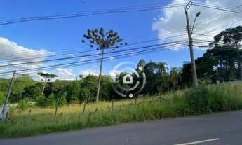 Imagem 2: Terreno ZR1 com 15m de frente em região de alto padrão