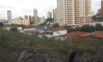 Imagem 4: área - Taquaral - Campinas