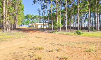 Imagem 7: Fazenda/Sítio/Chácara para venda possui metros quadrados com 4 quartos