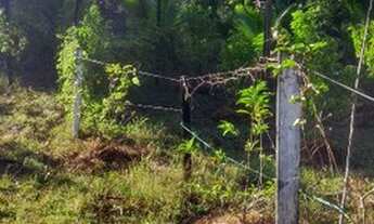 Imagem 6: Sitio Chácara com venda por R$40.000