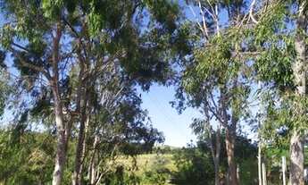 Imagem 2: Sítio em Curral de Cima - PB - À 20km de Mamanguape-PB