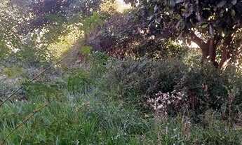 Imagem 3: Casa lote 300 metros quadrados com 1 quarto em Tropical - Contagem - MG