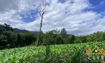 Imagem 6: Sítio / Chácara para Venda em Três Coroas, Moreira