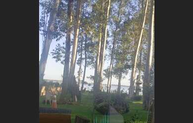 Imagem 6: Rural chacara com 4 quartos - Bairro Centro em Primeiro de Maio