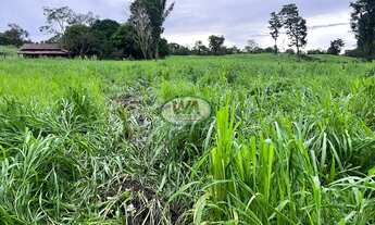 Imagem 3: Fazenda com terras de pretas de cultura
