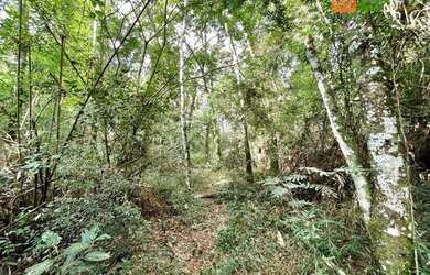 Imagem 6: Área à venda, 72600 m² por R$ 1.800.000,00 - Rio Do Salto - Cascavel/PR