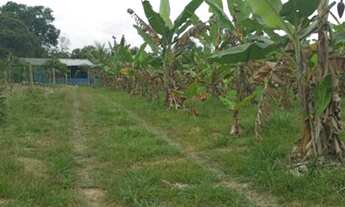 Imagem 3: Venda de sitio Chácara com venda por R$70.000