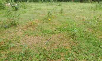 Imagem 4: Aluga-se terreno de 4.840 metros, no Eng. Cachoeira no município de Ipojuca!