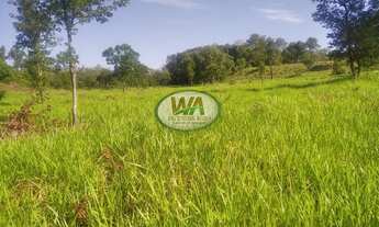 Imagem 7: Fazenda em terras de cultura ótimas para pecuária