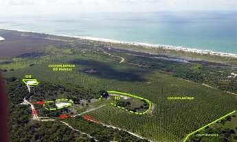 Imagem 3: Terreno com Potencial Turistico, com 64,9 ha em - Conde - Bahia